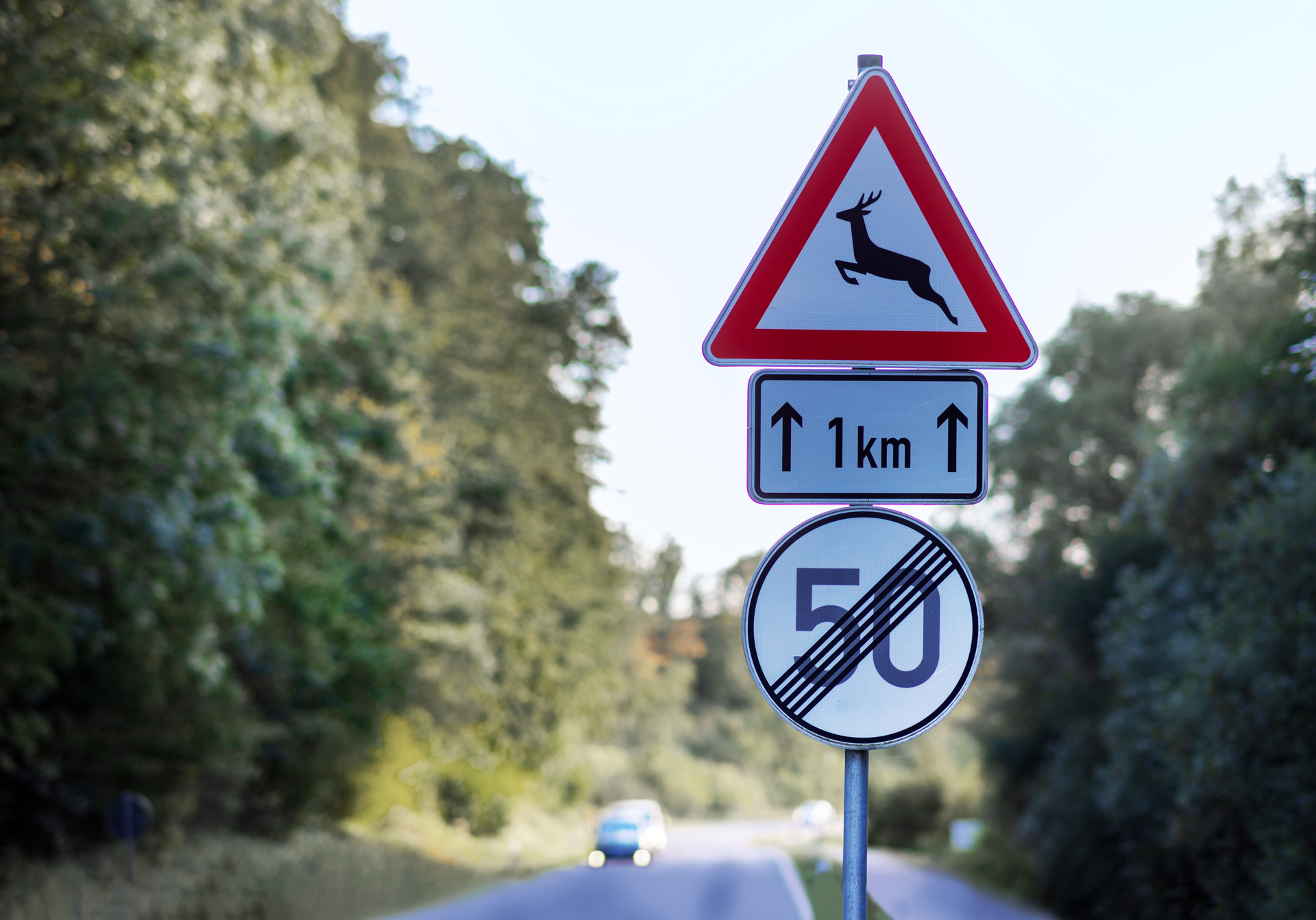 Straßenschilder aus Aluminium stehen vor einem Wald.