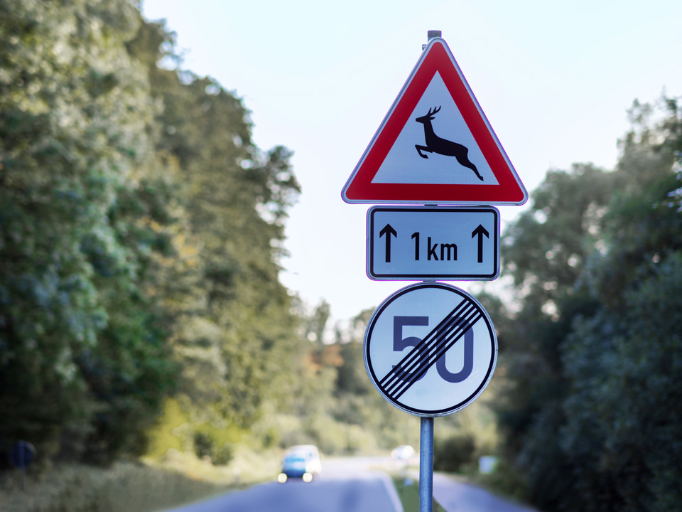Street signs made of aluminium standing in front of a forest.