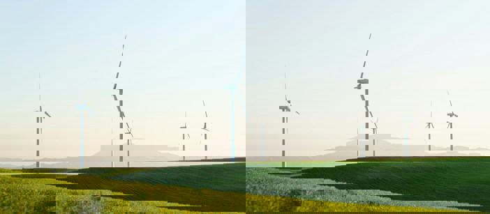 Wind turbines standing in a grassy field landscape on a sunny day.