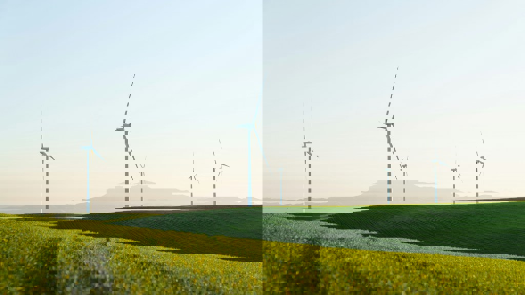 Windräder stehen an einem sonnigen Tag in einer grasbewachsenen Feldlandschaft.